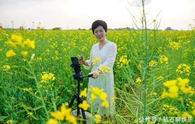 三月|花样荷城,美不胜收!