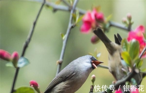 家庭|面带福相、性格温和的3个生肖女，家庭和睦，幸福美满