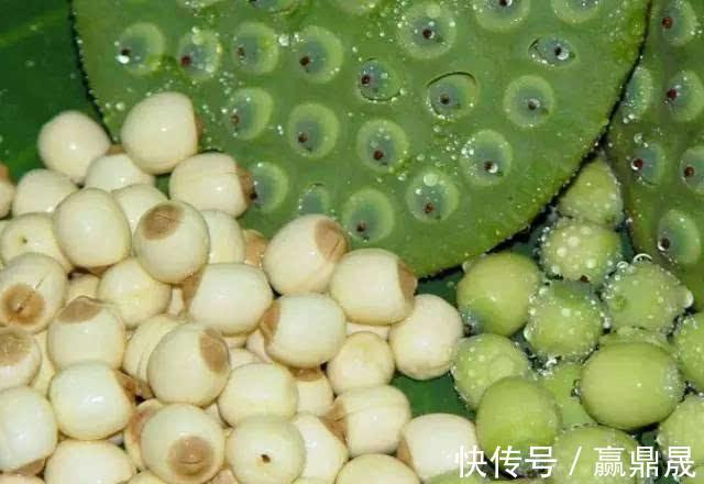 口腔溃疡|良心中医推荐：这15种不怎么挣钱的中成药，知道吗？