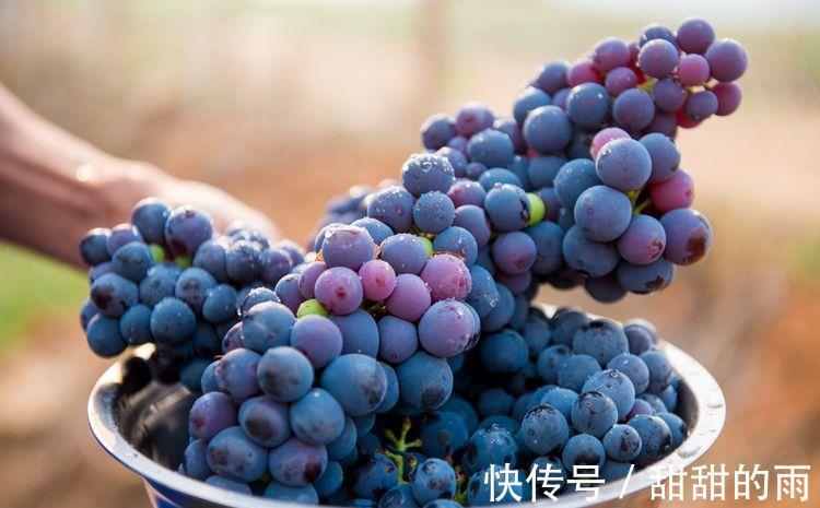 食物|女性过了40岁,学会常吃3种食物,补血养气,抗衰老,好处多多