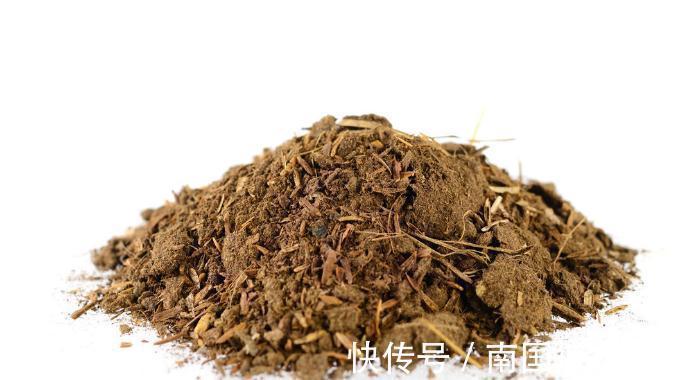 栽种|养花换下来的旧土别扔,加4种东西,比新土还好用