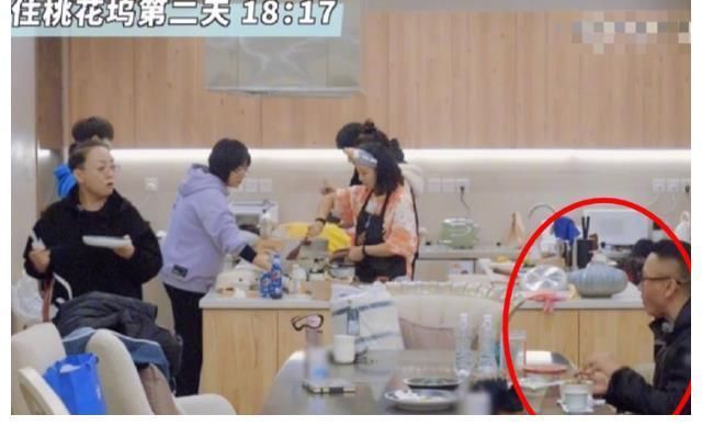 桃花坞让多位明星人设崩塌,舒淇宋丹丹被吐槽了,为何周杰被赞?