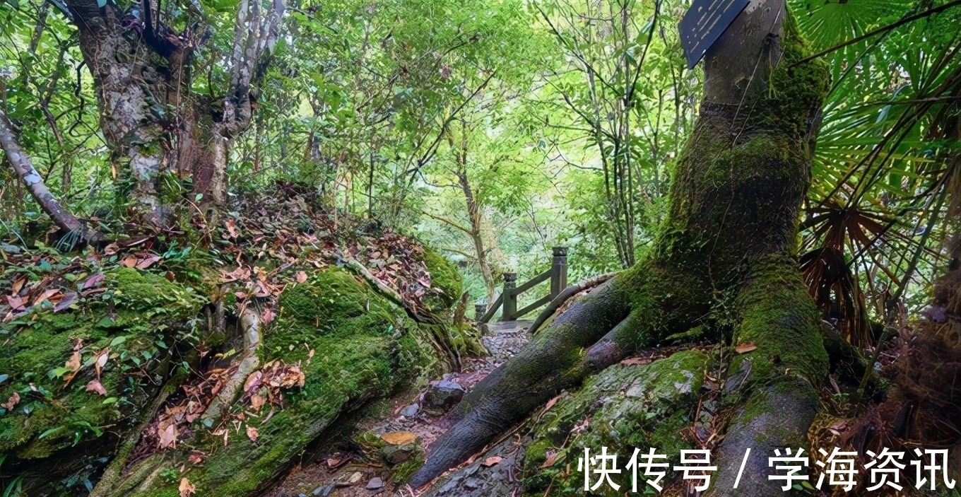 古村|这里的古村比县城名气还大，山水景观同样不可错过