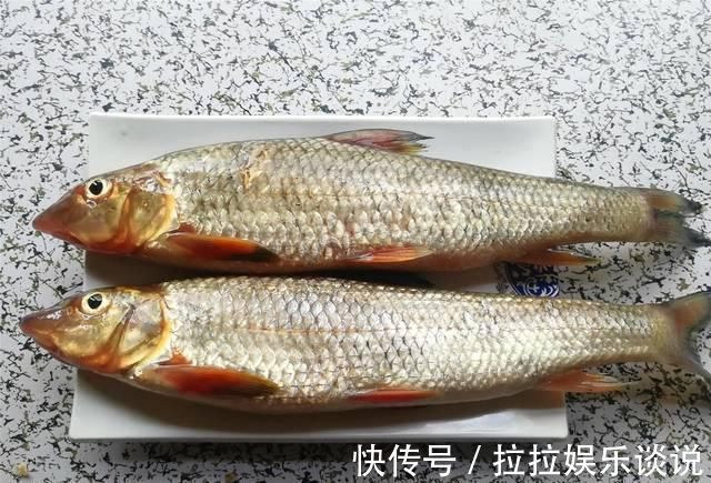 教你一道东北做鱼的方法,鱼不用煎也不用炸,酱香味浓还下饭