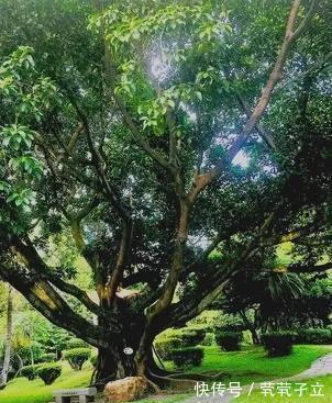 我的秘密#聊斋故事：牛癀怪