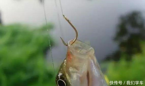 水深|钓浮不会调漂没关系，这两种方法，会操作、懂思路就能上鱼