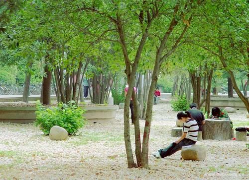 师范学院|我国这所“省字号”大学，3天成立5个新学院，考生志愿选择又多了