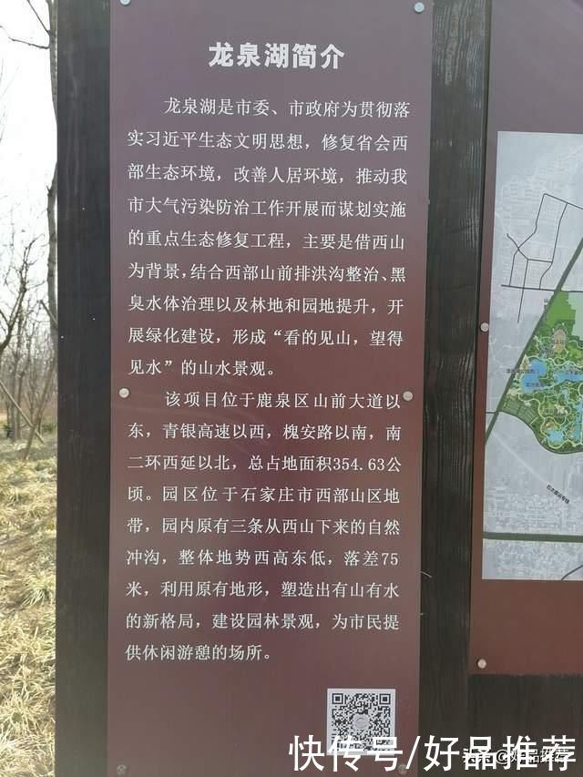 中年|龙泉湖湿地公园游记