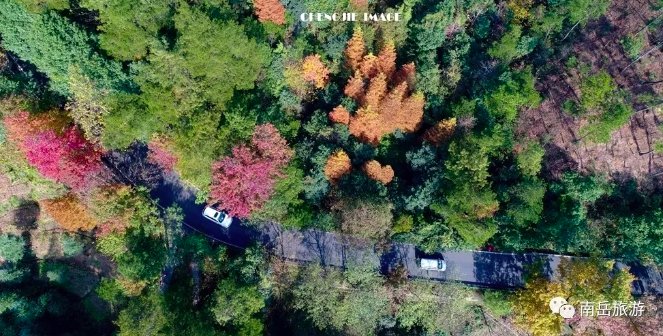  南台寺|秋季去南岳打卡，这么走美景尽收你眼底