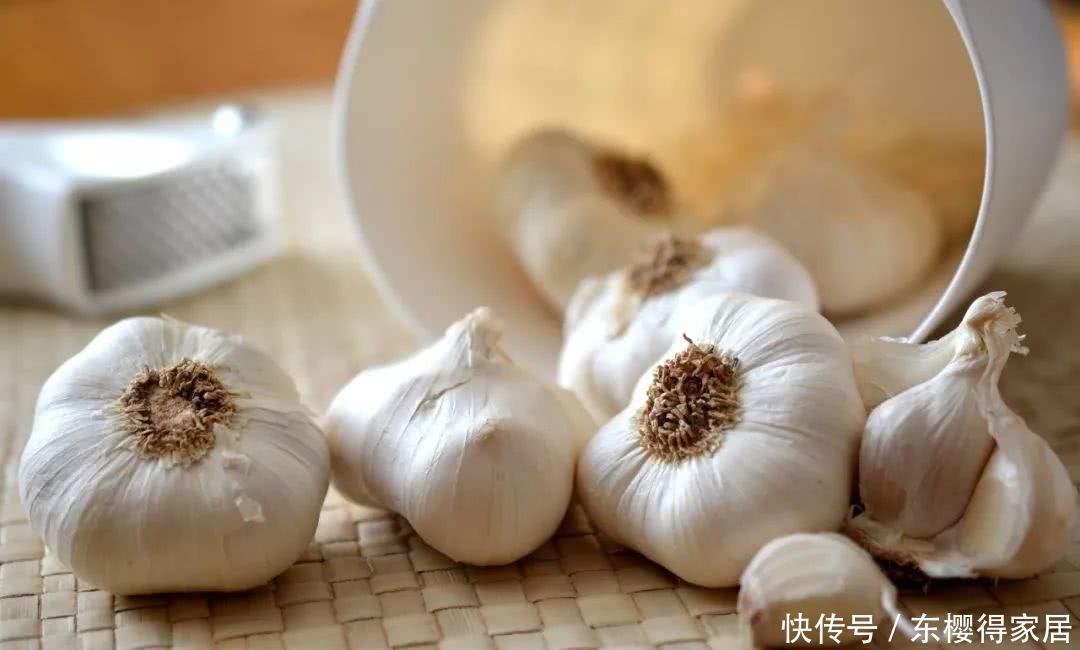 土壤|你还在用杀虫剂驱虫吗植物会中毒的,学会6个方法,虫子跑光光