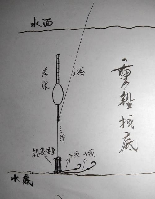 新手如何调漂？分享我的调钓方法，简单易懂