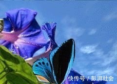 人心!良言20句,见证人心,看透人性看一次胜读十年书