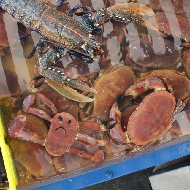 老爸Tom|设计师老爸将孩子的画P图再现,鼓励孩子继续发挥创造力