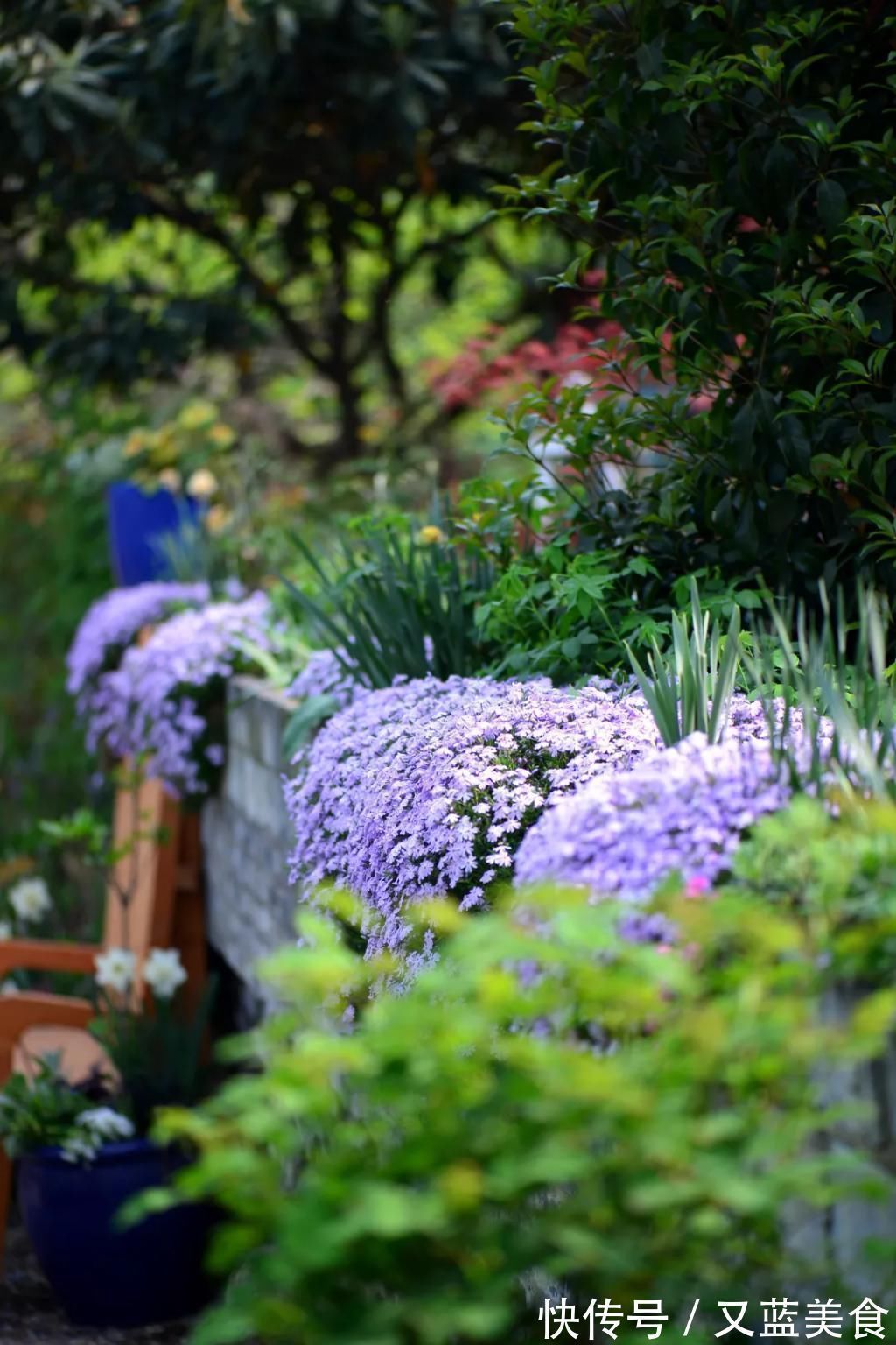 老房|退休夫妻花4年改造自家老房,建3000㎡大花园,住在人间仙境里