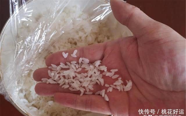 夏钓鲫鱼，试试这些“小颗粒”饵料，小鱼咬不动，上钩就是大鲫鱼