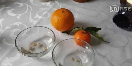 在垃圾桶里装满泥土,摆在阳台上有妙用,一年能帮你省下不少钱