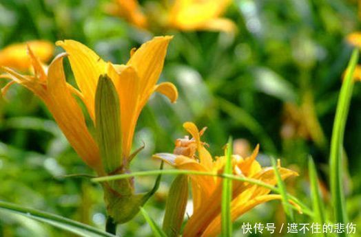 早好|人到中年想长寿,3种食物记得吃,补血养颜,滋养肌肤,早吃早好