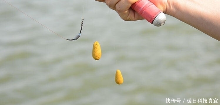 钓友|钓鱼人普遍存在的5个误区,别再犯糊涂了!