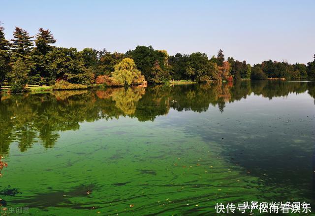 从千岛湖投放鱼苗牵扯出，湖水透明度高达12米的“秘密”