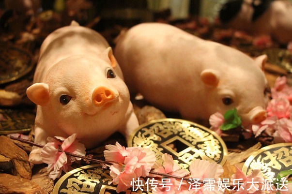 福气猪|10个猪9个富特别是这四个月出生的“福气猪”，看看你家有吗
