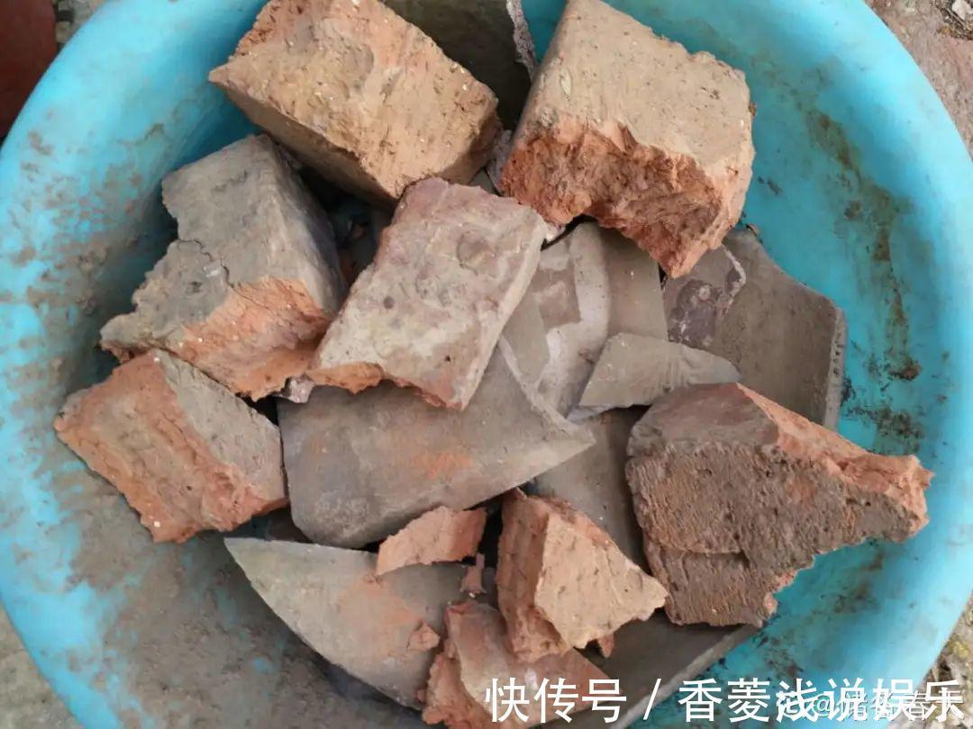 1把核桃垫盆底,不烂根、不招虫,疯长停不下来!