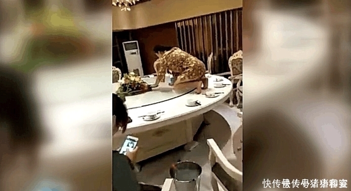 女服务员“跪式”工作,顾客看不下去了,老板你明天别来上班了