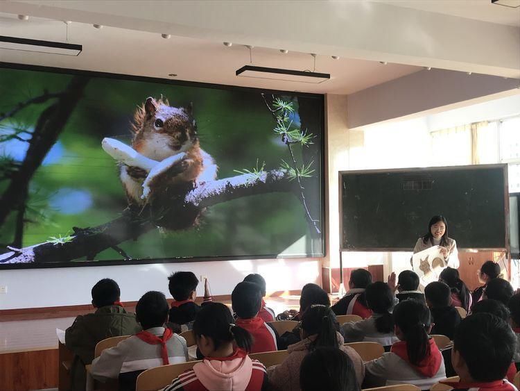 教师|聚焦深度学习 践行深度语文——临沂沭河学校和开发区三小举行深度学习视域下的语文校际教研活动