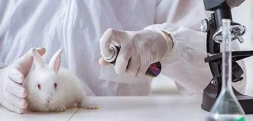 “吃得越多，越會(huì)影響壽命”，到底有沒有科學(xué)依據(jù)？怎么吃長壽