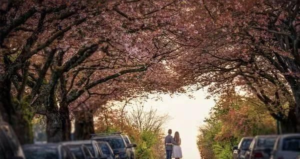 面食|血糖高的人，晚餐记得：3不吃