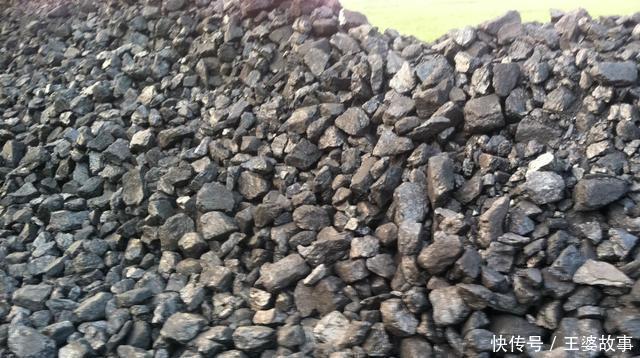 营养土还在花钱买几种东西“掺一点”,土壤“肥得流油”!