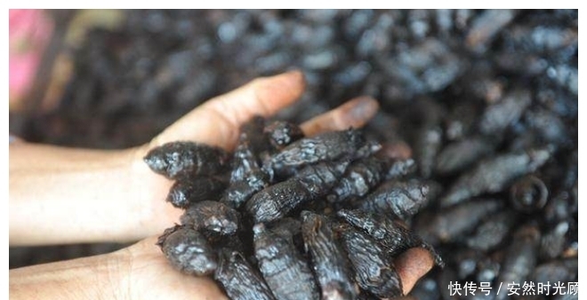 它被世衛(wèi)列為“一級(jí)致癌物”,不少人拿它當(dāng)零食吃,趕緊住嘴