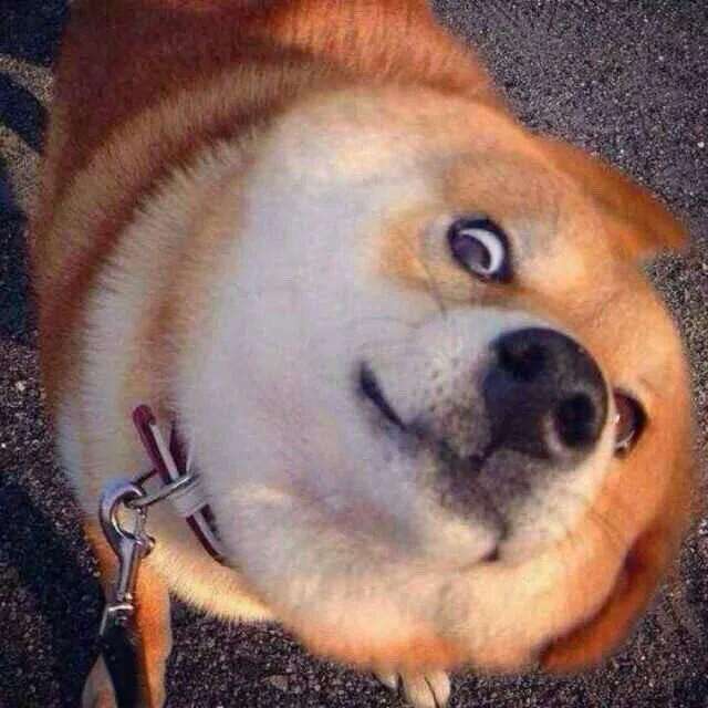 |爆笑段子:今天对女神表白了!她害羞地叫我放学后在校门口等她