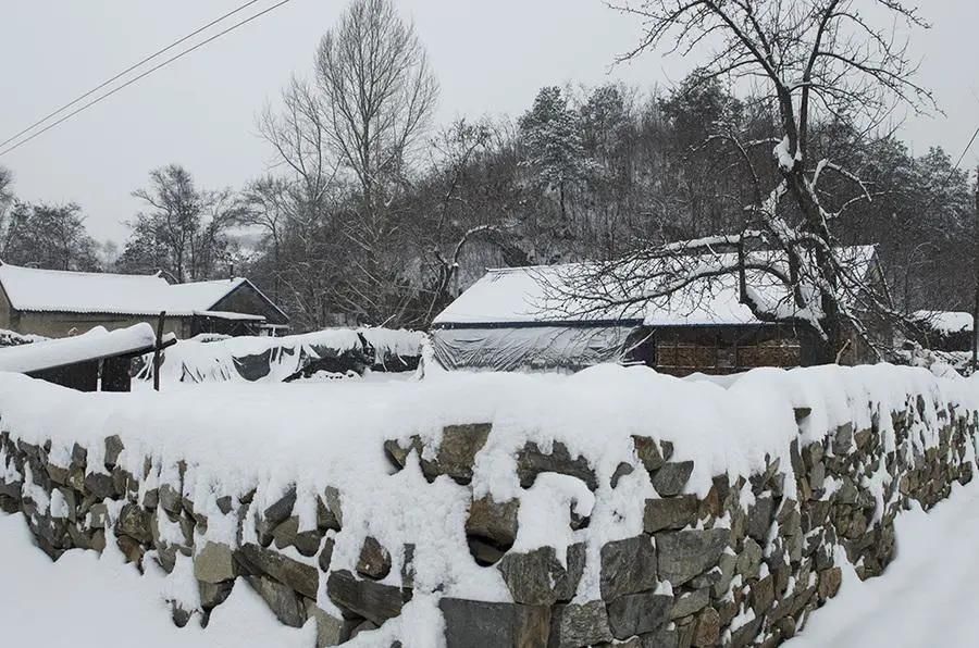 春雪:铺天盖地,踏歌而来