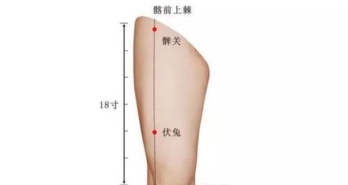  驻颜|百岁老中医的10个驻颜秘方，90%的人都不知道！调节五脏,气血双补