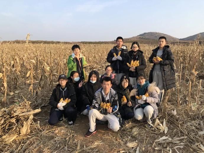  青岛|青春礼贤丨田间第四日——青岛九中高二同学学农日记