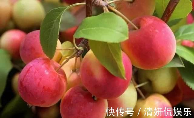 老少皆宜|女性养生先排毒，常吃以下食物，排毒清肠，呵护皮肤，好处多多