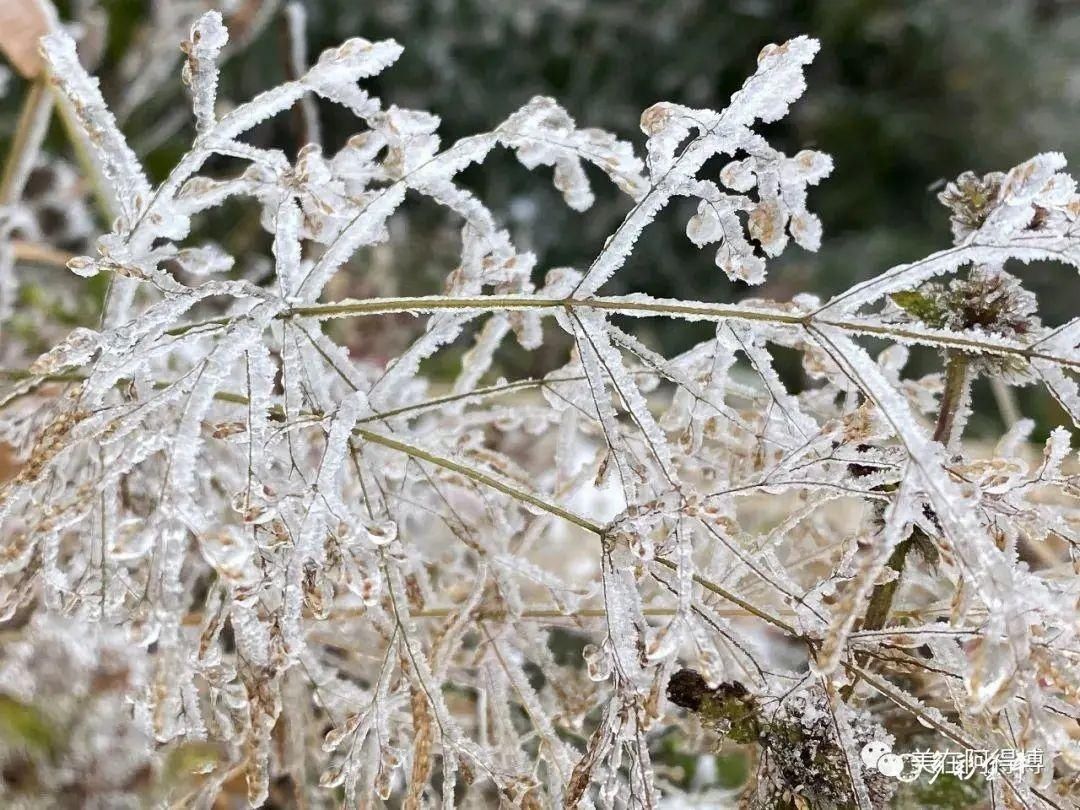 记忆 ｜寒潮再次来袭，还记得前几天的雪吗？