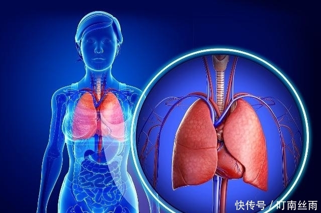 远离|肝病的“天敌”找到了,每天泡水喝,养肝排毒,肝病“远离”你