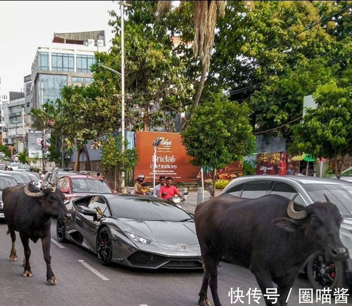 迈克尔杰克逊@“活久未见”的28张照片,相当涨姿势