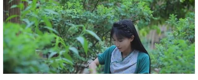 其中一位|李亚鹏被指挖走李子柒团队，二人视频风格极像，本人回应并没有