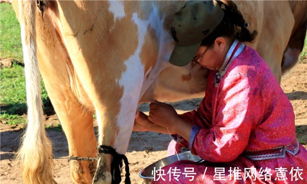 打卡|锡林郭勒千里草原游记④丨沉浸式体验草原必打卡的那些娱乐活动