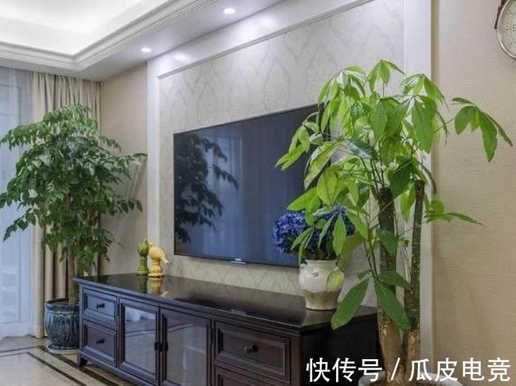 养花常见的5个误区，难怪花花养一盆死一盆，你中了几招？