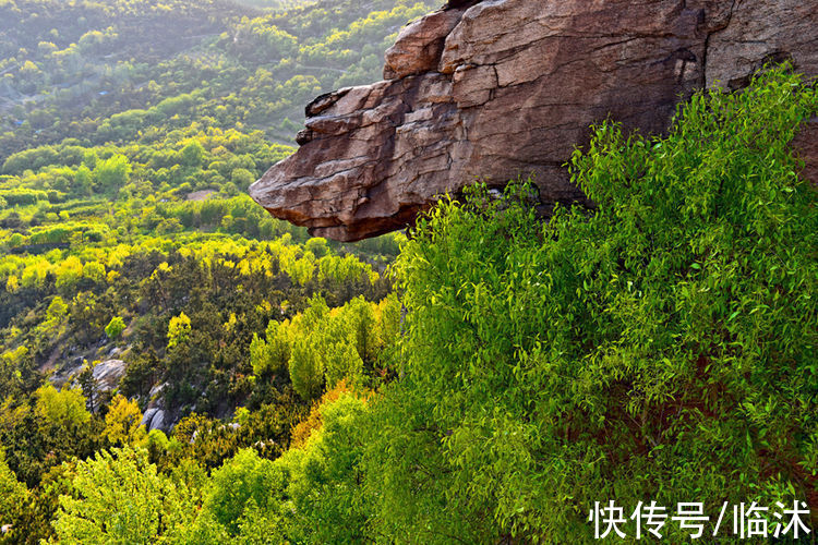 情定三生|美丽的苍马山