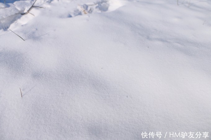 冬季|这个冬季，一起去哈尔滨，陪你看今年的第一场雪