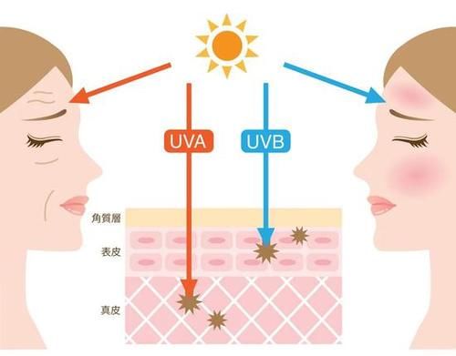 “防晒圈” 测评 新晋黑马究竟花落谁家？