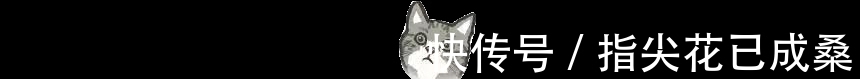 吴奇隆|大叔VS奶狗，男明星的苏感来自哪里？