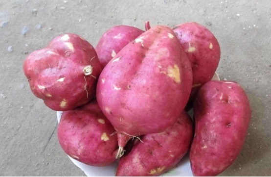 酸奶|不论男女，吃完香蕉千万别碰它，否则后悔也来不及，赶紧告诉亲人