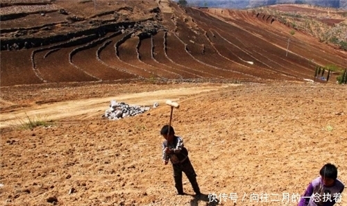 起码|中学生捡到“烂木匣”,藏有193件唐朝金器,专家:起码值1150万