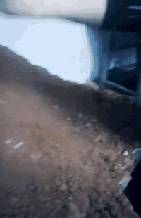 |搞笑GIF:哈哈,妹子你确定是在做俯卧撑吗?