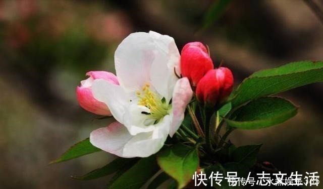 释义&真正厉害的人,为人处世,往往能做到这四点!